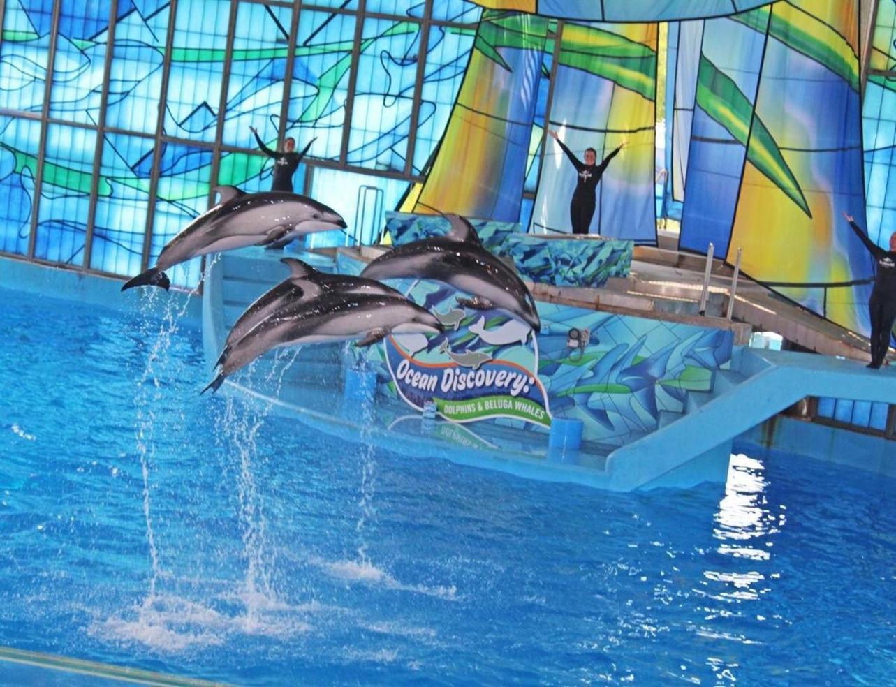 סן אנטוניו Gameroom, Bbq & Hot-Tub By Lackland & Seaworld מראה חיצוני תמונה